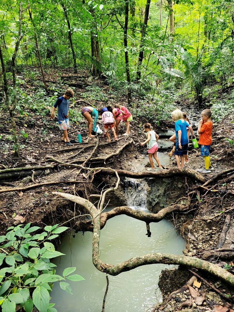 Children crossing a forest stream on an excursion