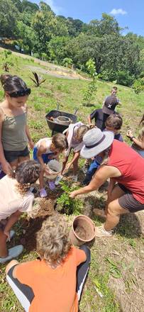 Planting a tree together