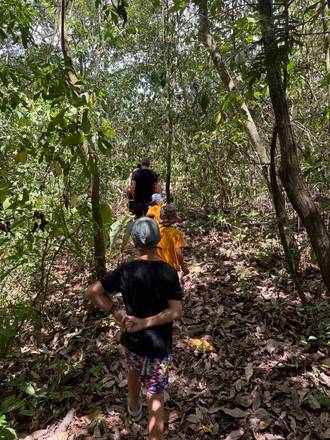 Walking a forest trail in single file